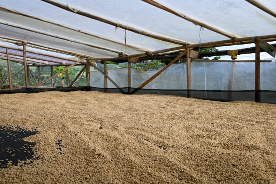 Decaf